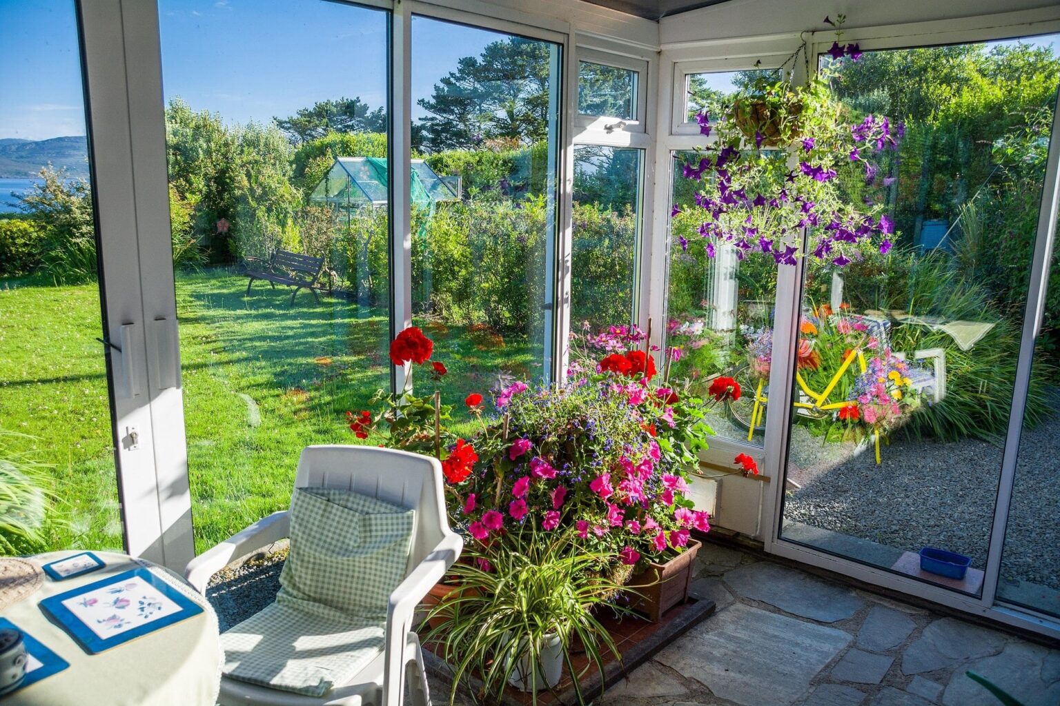 The 12 Best Plants for Your Conservatory Within Home